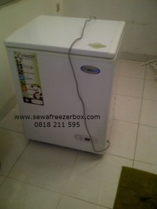Freezer Asi