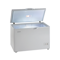 Sewa Freezer Box 300 liter