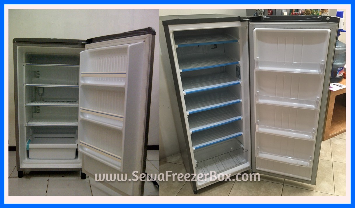 upright freezer atau freezer asi