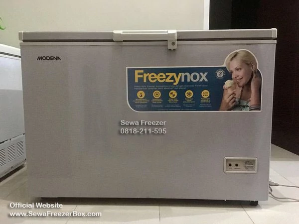 Display sewa freezer box di Bali 300 liter untuk restoran katering